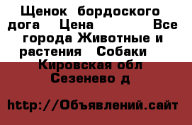 Щенок  бордоского  дога. › Цена ­ 60 000 - Все города Животные и растения » Собаки   . Кировская обл.,Сезенево д.